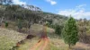 29 Echo Hills Road, Werris Creek, NSW 2341-Image