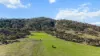 29 Echo Hills Road, Werris Creek, NSW 2341-Image