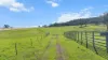 29 Echo Hills Road, Werris Creek, NSW 2341-Image
