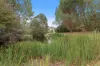 29 Hall Road, Buffalo VIC 3958-Image