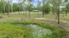 29 Old Punt Road, Seelands, NSW 2460-Image