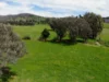29 Smarts Road, Gocup NSW 2720-Image