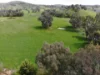 29 Smarts Road, Gocup NSW 2720-Image
