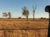 290 Reillys Road, Rosewood QLD 4340-Image