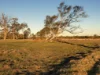 290 Reillys Road, Rosewood QLD 4340-Image