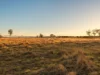 290 Reillys Road, Rosewood QLD 4340-Image