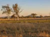 290 Reillys Road, Rosewood QLD 4340-Image