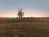 290 Reillys Road, Rosewood QLD 4340-Image