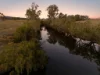290 Reillys Road, Rosewood QLD 4340-Image