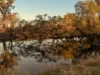 290 Reillys Road, Rosewood QLD 4340-Image