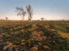 290 Reillys Road, Rosewood QLD 4340-Image