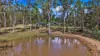 291 WALKERS FLAT ROAD, Aramara, Qld 4620
