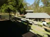 291 WALKERS FLAT ROAD, Aramara, Qld 4620-Image