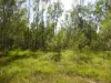 291 WALKERS FLAT ROAD, Aramara, Qld 4620-Image