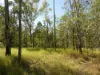291 WALKERS FLAT ROAD, Aramara, Qld 4620-Image