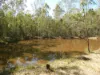 291 WALKERS FLAT ROAD, Aramara, Qld 4620-Image
