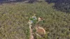 291 WALKERS FLAT ROAD, Aramara, Qld 4620-Image