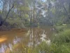 2938 Paynes Crossing Rd, Wollombi, NSW 2325-Image