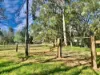 2938 Paynes Crossing Rd, Wollombi, NSW 2325-Image