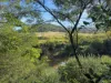 2938 Paynes Crossing Rd, Wollombi, NSW 2325-Image