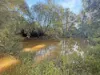 2938 Paynes Crossing Rd, Wollombi, NSW 2325-Image