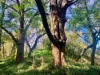 2938 Paynes Crossing Rd, Wollombi, NSW 2325-Image