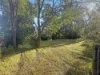 2938 Paynes Crossing Rd, Wollombi, NSW 2325-Image