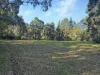 2938 Paynes Crossing Rd, Wollombi, NSW 2325-Image
