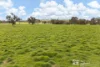 294 Wollar Road, Mudgee, NSW 2850-Image