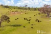 294 Wollar Road, Mudgee, NSW 2850-Image