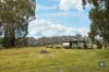 2950 Colac-Forrest Rd, Forrest, Vic 3236-Image