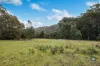 2950 Colac-Forrest Rd, Forrest, Vic 3236-Image