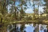 2950 Colac-Forrest Rd, Forrest, Vic 3236-Image