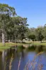 2956 Dawson Highway, Calliope QLD 4680-Image