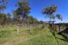 2956 Dawson Highway, Calliope QLD 4680-Image