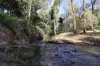 2956 Dawson Highway, Calliope QLD 4680-Image