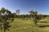 2956 Dawson Highway, Calliope QLD 4680-Image