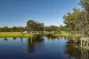 2956 Dawson Highway, Calliope QLD 4680-Image