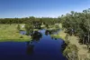 2956 Dawson Highway, Calliope QLD 4680-Image