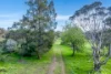 295C Braeside Road, Mount Observation, SA 5255-Image