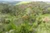295C Braeside Road, Mount Observation, SA 5255-Image