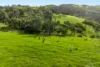 295C Braeside Road, Mount Observation, SA 5255-Image