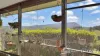 297 Stanger Road, Stony Chute, NSW 2480-Image
