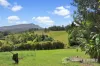 297 Stanger Road, Stony Chute, NSW 2480-Image