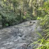 297 Stanger Road, Stony Chute, NSW 2480-Image