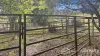 297 Stanger Road, Stony Chute, NSW 2480-Image