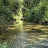 297 Stanger Road, Stony Chute, NSW 2480-Image