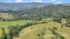 297 Stanger Road, Stony Chute, NSW 2480-Image