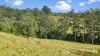 297 Stanger Road, Stony Chute, NSW 2480-Image