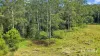 297 Stanger Road, Stony Chute, NSW 2480-Image